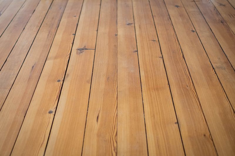 Refreshed Wood Deck